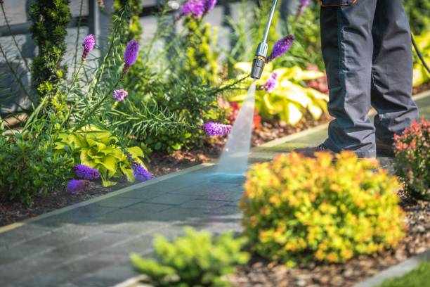 Best Gutter Cleaning  in Dickinson, ND