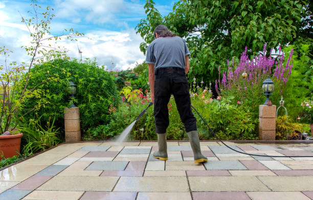 Best Sidewalk and Walkway Cleaning  in Dickinson, ND